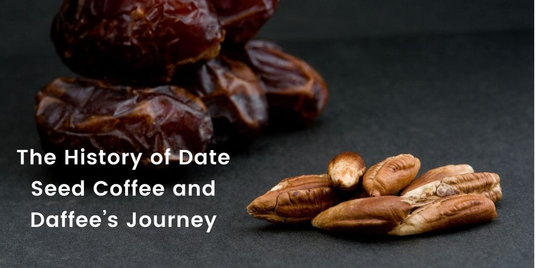 The History of Date Seed Coffee and Daffee’s Journey