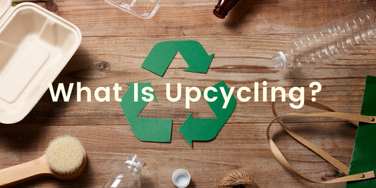 What Is Upcycling? A Beginner’s Guide to Sustainable Sipping with Daffee